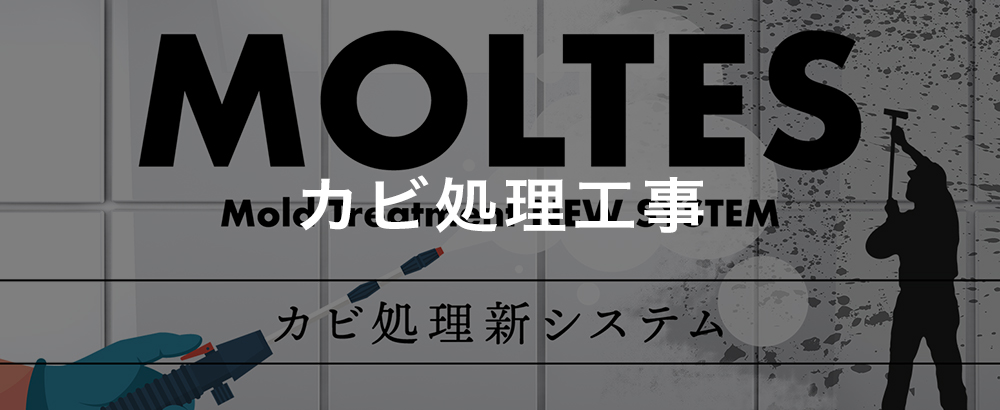 カビ処理工事